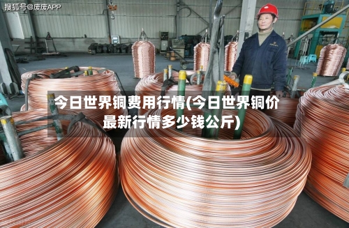 今日世界铜费用行情(今日世界铜价最新行情多少钱公斤)-第2张图片