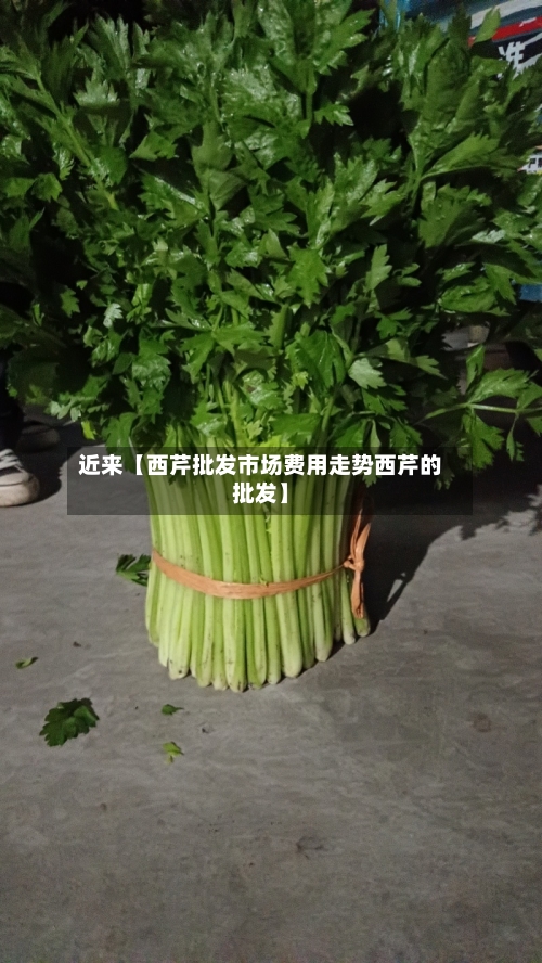 近来【西芹批发市场费用走势西芹的批发】