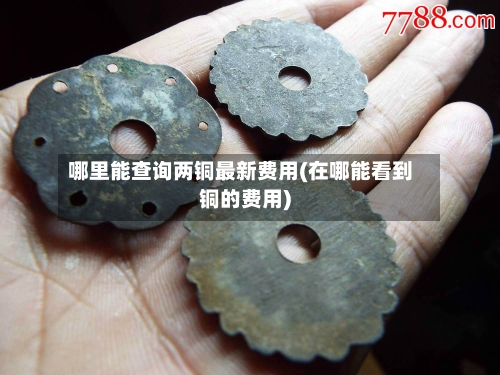 哪里能查询两铜最新费用(在哪能看到铜的费用)