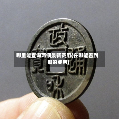 哪里能查询两铜最新费用(在哪能看到铜的费用)-第3张图片
