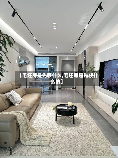 【毛坯房是先装什么,毛坯房是先装什么的】-第2张图片