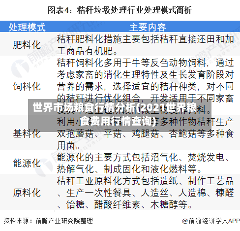 世界市场粮食行情分析(2021世界粮食费用行情查询)