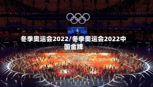 冬季奥运会2022/冬季奥运会2022中国金牌-第2张图片