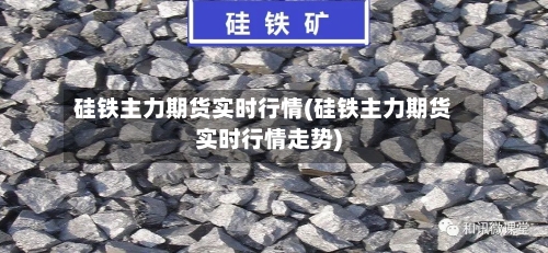 硅铁主力期货实时行情(硅铁主力期货实时行情走势)