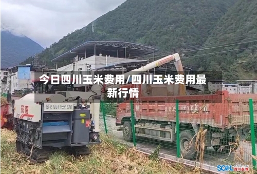 今日四川玉米费用/四川玉米费用最新行情-第2张图片