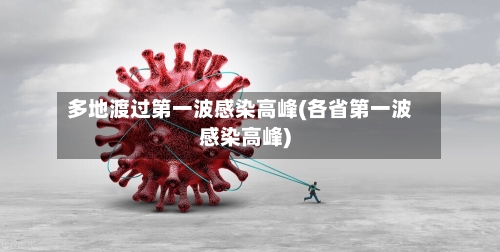 多地渡过第一波感染高峰(各省第一波感染高峰)