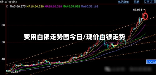 费用白银走势图今日/现价白银走势-第2张图片