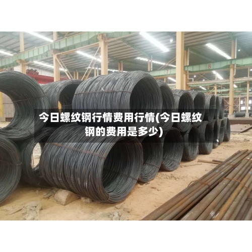今日螺纹钢行情费用行情(今日螺纹钢的费用是多少)