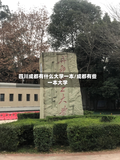 四川成都有什么大学一本/成都有些一本大学-第2张图片