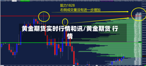 黄金期货实时行情和讯/黄金期货 行情