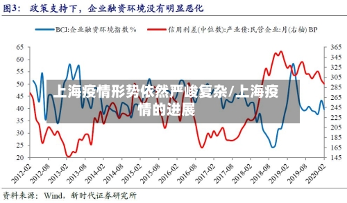 上海疫情形势依然严峻复杂/上海疫情的进展