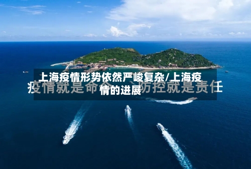 上海疫情形势依然严峻复杂/上海疫情的进展-第2张图片