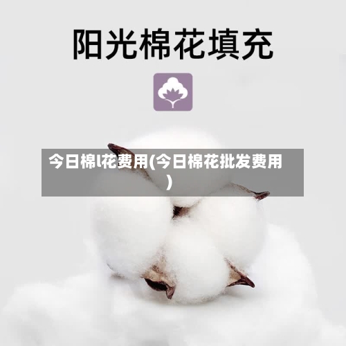 今日棉l花费用(今日棉花批发费用)-第3张图片