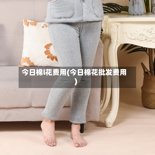 今日棉l花费用(今日棉花批发费用)-第2张图片