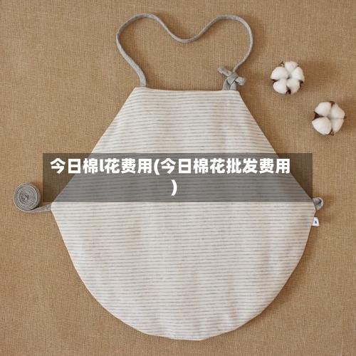 今日棉l花费用(今日棉花批发费用)
