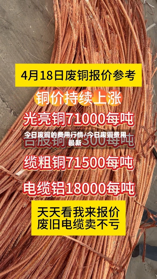 今日废铜的费用行情/今日废铜费用最新-第2张图片