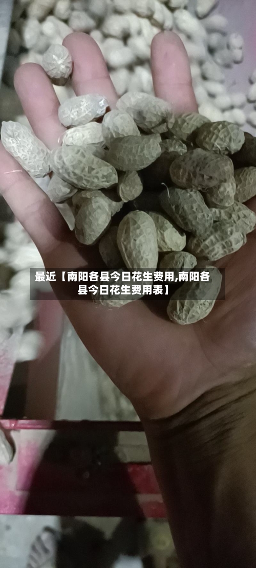最近【南阳各县今日花生费用,南阳各县今日花生费用表】-第3张图片