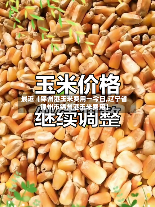 最近【锦州港玉米费用一今日,辽宁省锦州市锦州港玉米费用】