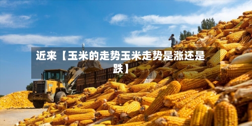 近来【玉米的走势玉米走势是涨还是跌】