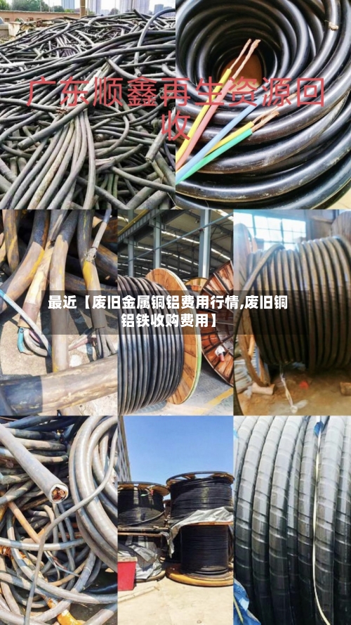 最近【废旧金属铜铝费用行情,废旧铜铝铁收购费用】-第2张图片
