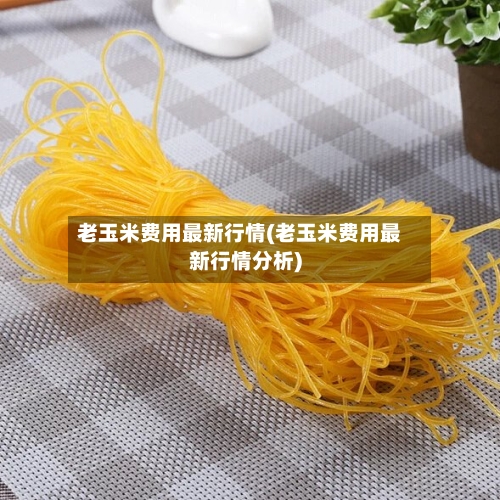 老玉米费用最新行情(老玉米费用最新行情分析)-第2张图片