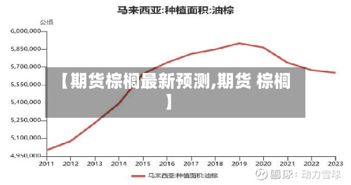 【期货棕榈最新预测,期货 棕榈】