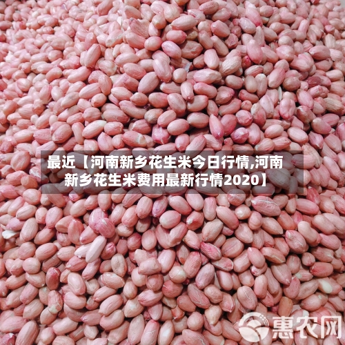 最近【河南新乡花生米今日行情,河南新乡花生米费用最新行情2020】-第2张图片