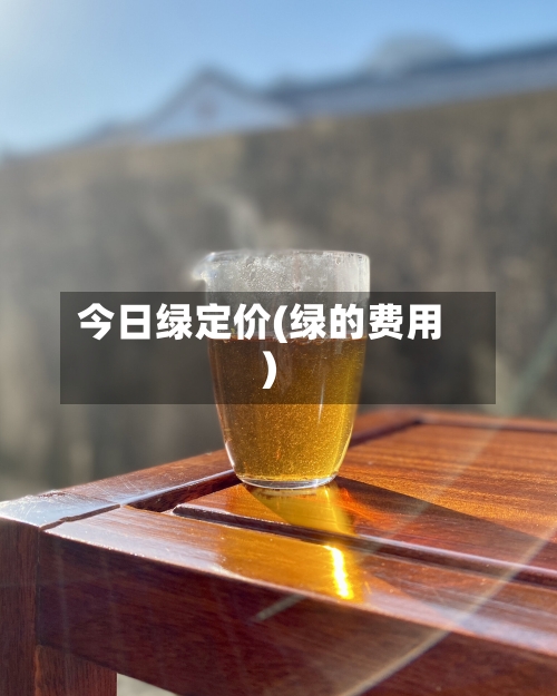 今日绿定价(绿的费用)
