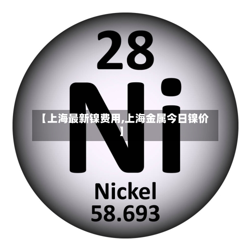 【上海最新镍费用,上海金属今日镍价】-第2张图片