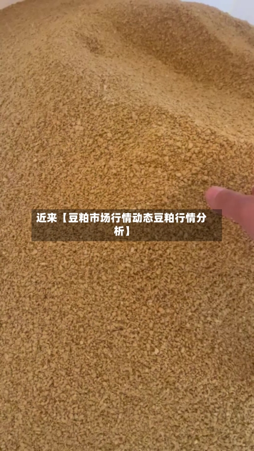 近来【豆粕市场行情动态豆粕行情分析】
