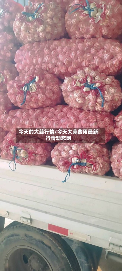 今天的大蒜行情/今天大蒜费用最新行情动态网-第3张图片