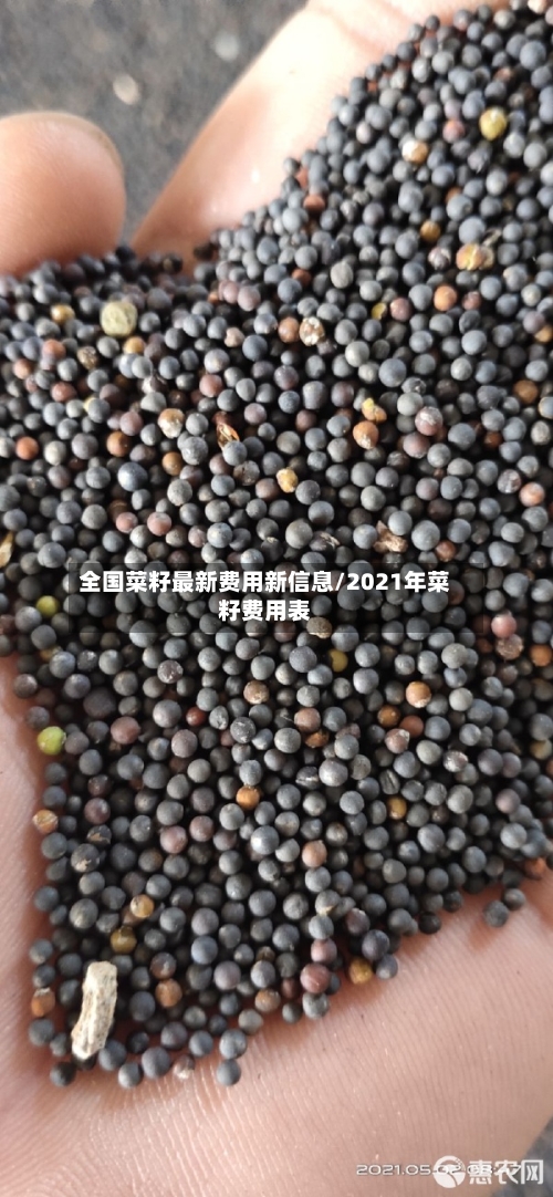 全国菜籽最新费用新信息/2021年菜籽费用表-第3张图片