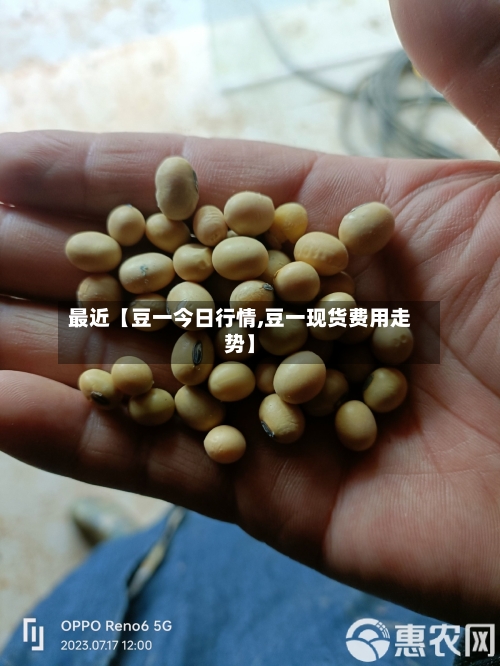 最近【豆一今日行情,豆一现货费用走势】