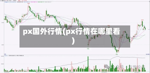 px国外行情(px行情在哪里看)