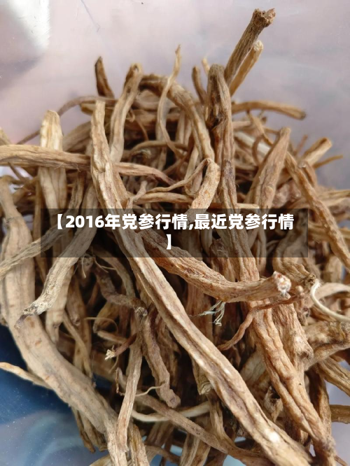 【2016年党参行情,最近党参行情】