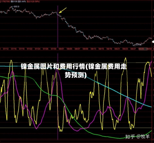 镍金属图片和费用行情(镍金属费用走势预测)