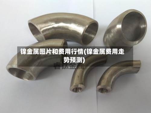 镍金属图片和费用行情(镍金属费用走势预测)-第2张图片