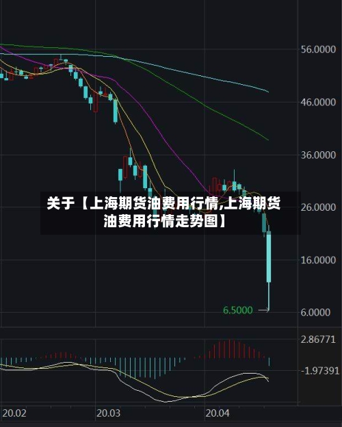 关于【上海期货油费用行情,上海期货油费用行情走势图】-第2张图片