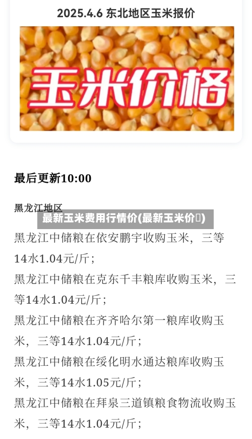 最新玉米费用行情价(最新玉米价挌)-第3张图片