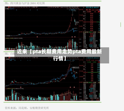 近来【pta长期费用走势pta费用最新行情】-第3张图片