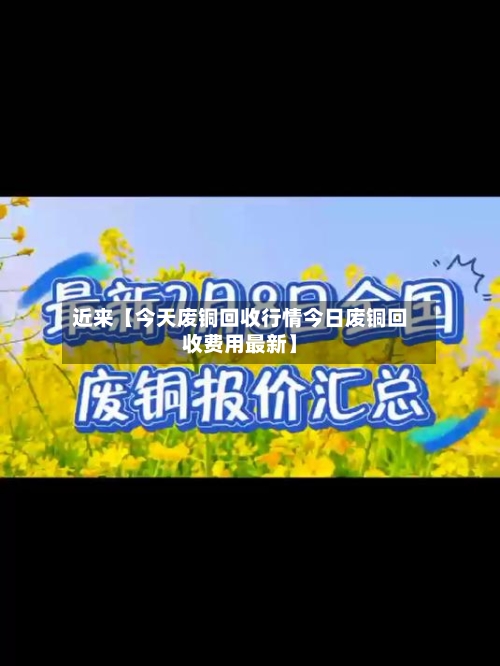 近来【今天废铜回收行情今日废铜回收费用最新】-第3张图片