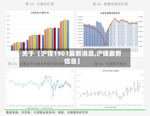 关于【沪镍1901最新消息,沪镍最新信息】-第2张图片