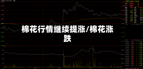 棉花行情继续提涨/棉花涨跌