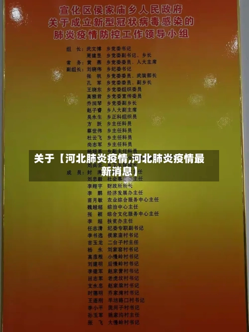 关于【河北肺炎疫情,河北肺炎疫情最新消息】-第2张图片
