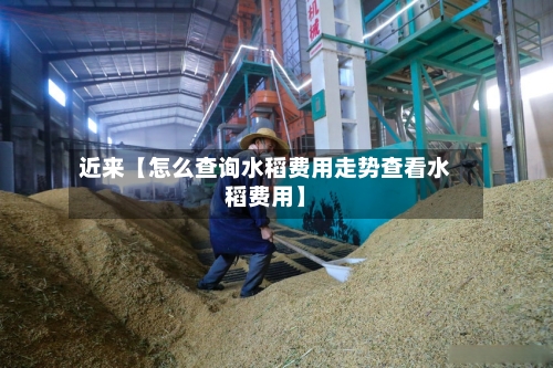 近来【怎么查询水稻费用走势查看水稻费用】
