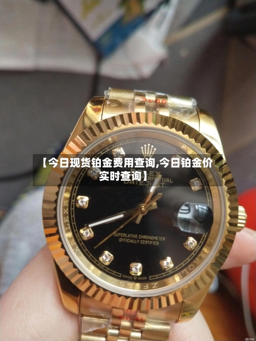 【今日现货铂金费用查询,今日铂金价实时查询】-第2张图片