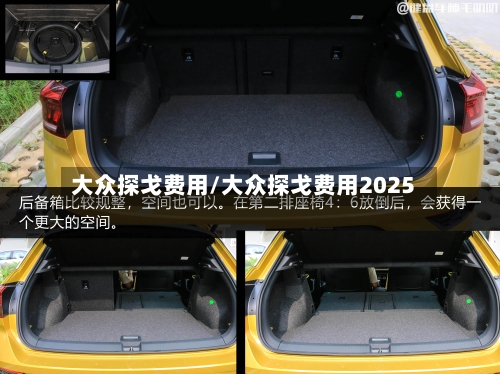 大众探戈费用/大众探戈费用2025