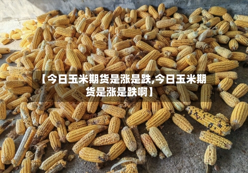 【今日玉米期货是涨是跌,今日玉米期货是涨是跌啊】-第3张图片