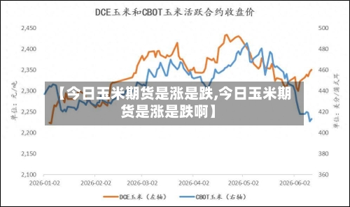 【今日玉米期货是涨是跌,今日玉米期货是涨是跌啊】-第2张图片