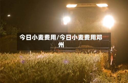 今日小麦费用/今日小麦费用邓州-第2张图片